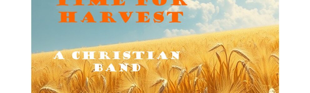 Shop-Banner