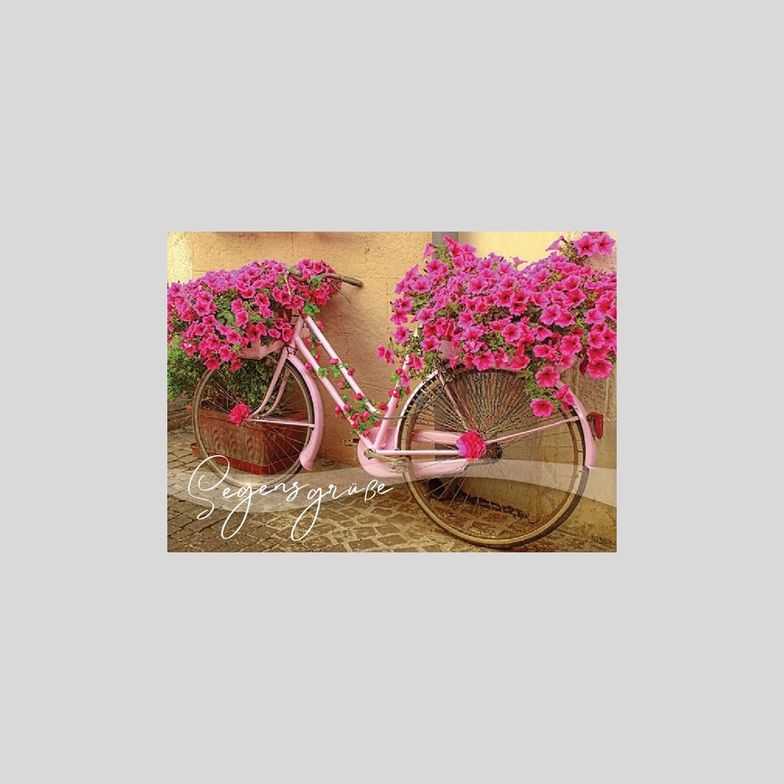 Faltkarte “Fahrrad & Blumen”