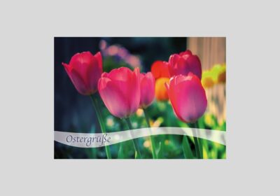 Faltkarte-Nr.-35-Tulpen