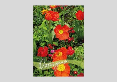 Faltkarte-Ostergruesse-2026-Anemonen