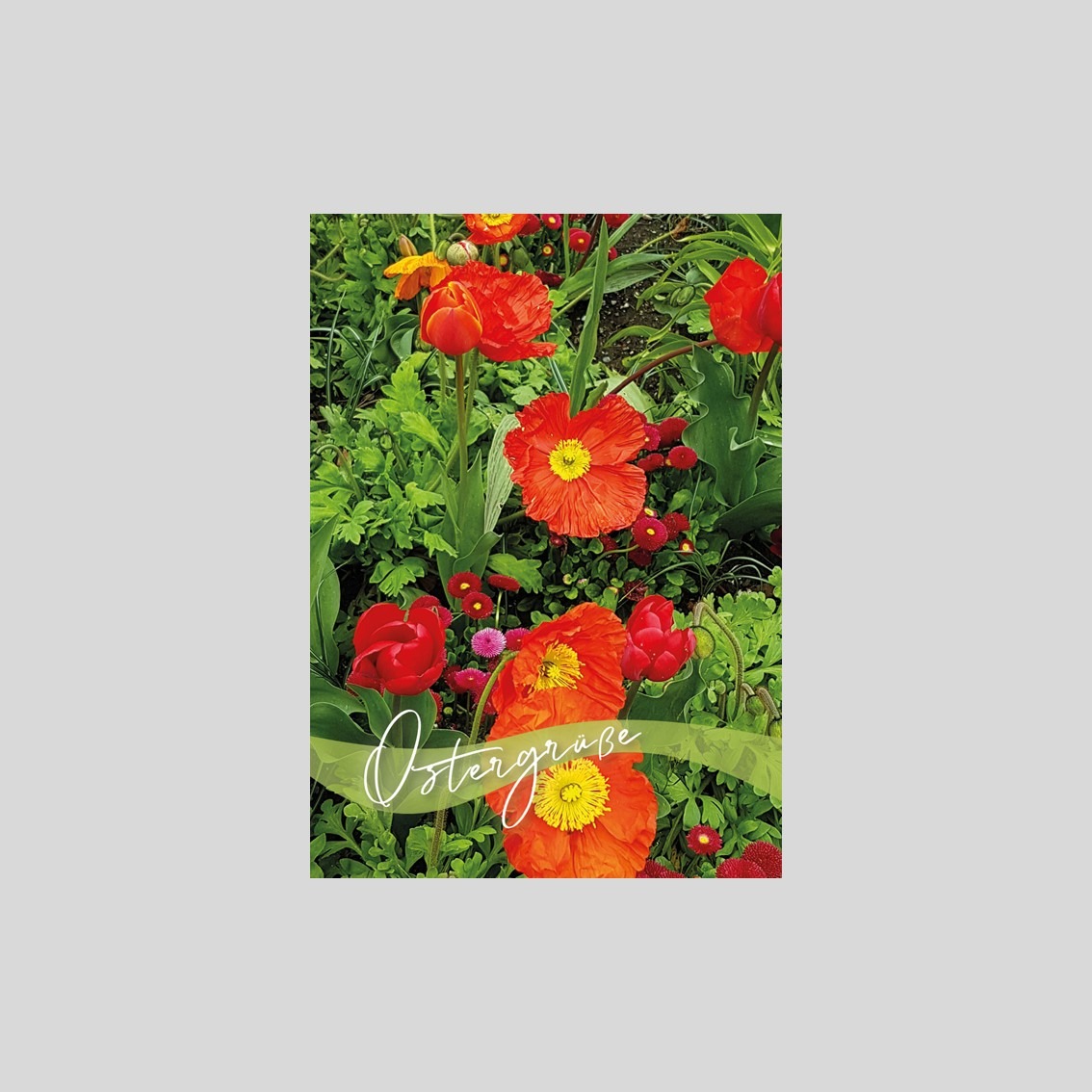 Faltkarte Ostergrüße (Anemonen) NEU