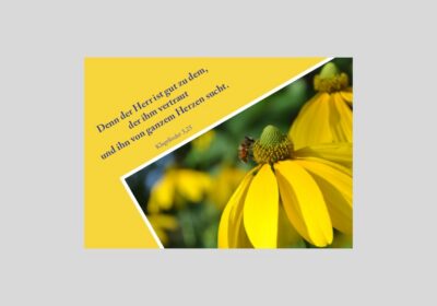 Postkarte-Nr.-32-Sommerblume