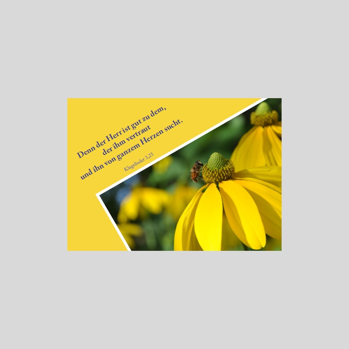 Postkarte mit Klagelieder 3, 25