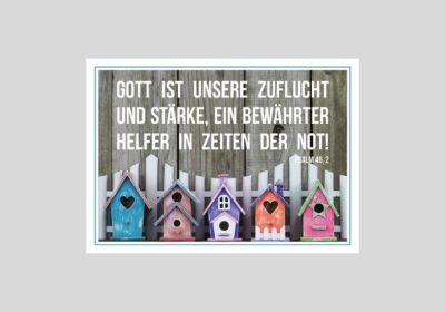 Postkarte-Nr.-44-Vogelhäuschen