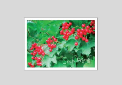 Postkarte-Nr.-67-Beeren