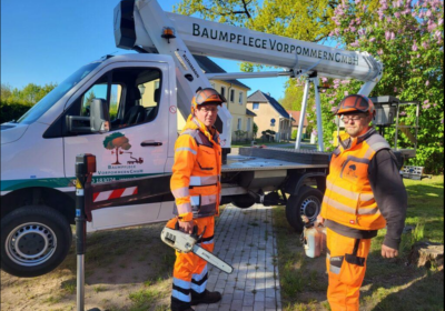 Screenshot-2026-10-19-at-17-38-09-BV-Baumpflege-Vorpommern